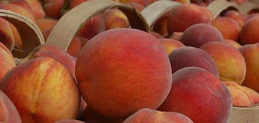 managing a seasonal business
